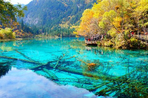 國(guó)內(nèi)旅游景點(diǎn)大全排行榜，旅游景點(diǎn)有哪些好玩的地方