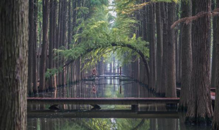 泰州十大最好玩的地方，泰州旅游景點(diǎn)攻略