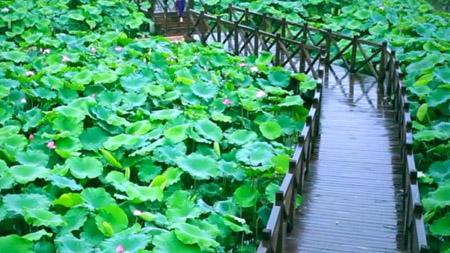 南充南部縣十大最好玩的地方，南部縣旅游景點(diǎn)有哪些