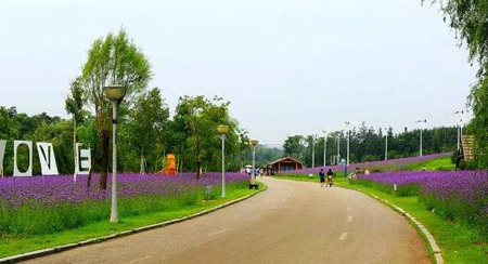 南陽(yáng)十大最好玩的景點(diǎn)，南陽(yáng)旅游景點(diǎn)大全簡(jiǎn)介
